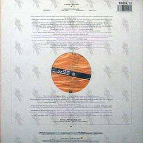 STYLE COUNCIL-- THE - It Didn't Matter - 2