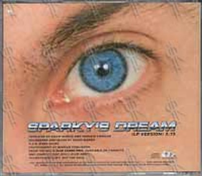 TEENAGE FANCLUB - Sparky's Dream - 2