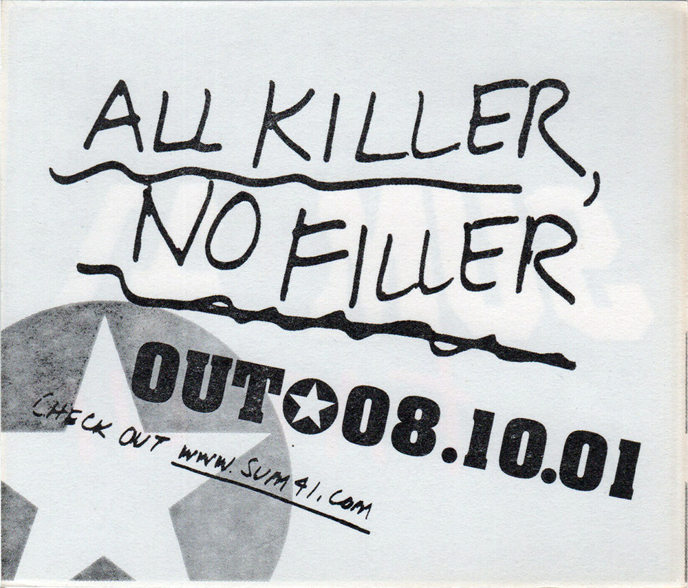 Fat Lip Single Promo Sticker