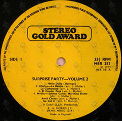 VARIOUS ARTISTS - Come To Our Suprise Party Vol. 2 - 3