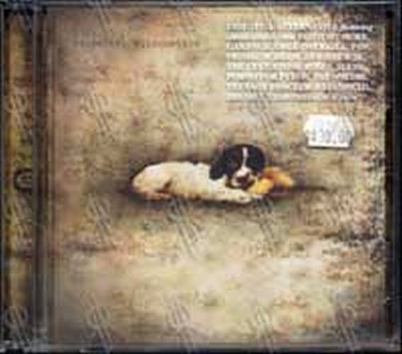 VARIOUS ARTISTS - Essential Alternative - 1