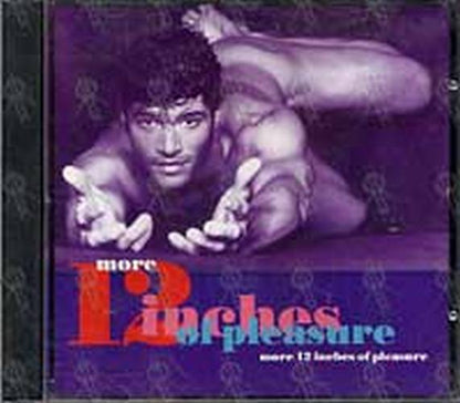 VARIOUS ARTISTS - More 12 Inches Of Pleasure - 1
