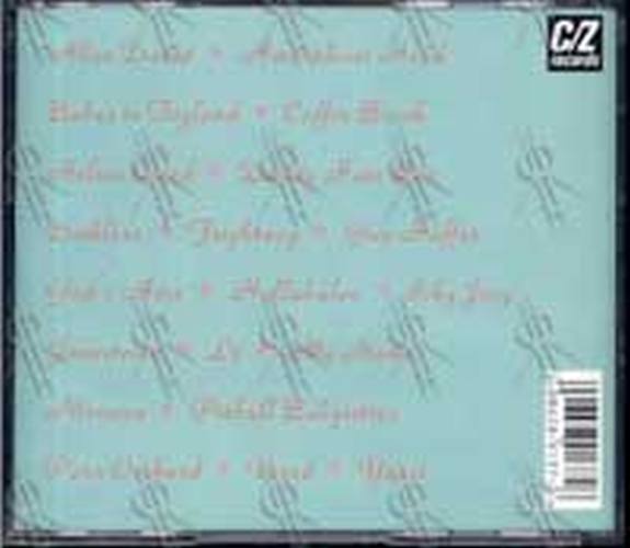 VARIOUS ARTISTS - Teriyaki Asthma - 2