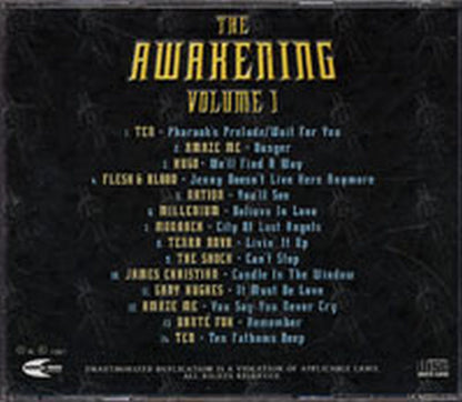 VARIOUS ARTISTS - The Awakening Volume 1 - Now & Then Productions Sampler - 2