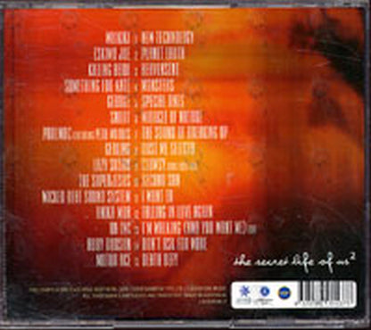 VARIOUS ARTISTS - The Secret Life Of Us 2 - 2