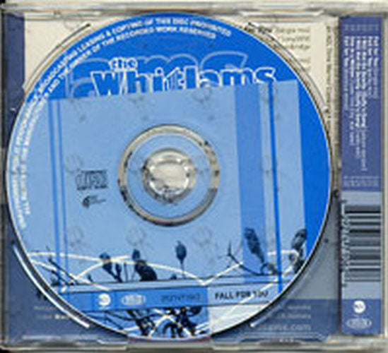 WHITLAMS-- THE - Fall For You - 2
