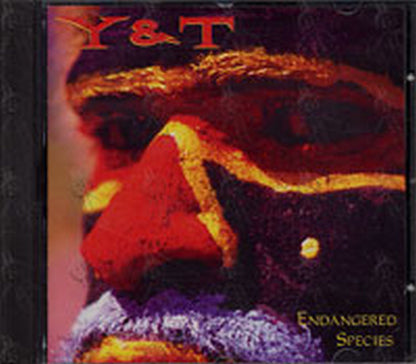 Y & T - Endangered Species - 1